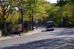 Markstraße in Bochum-Steinkuhl mit Bus der Bogestra