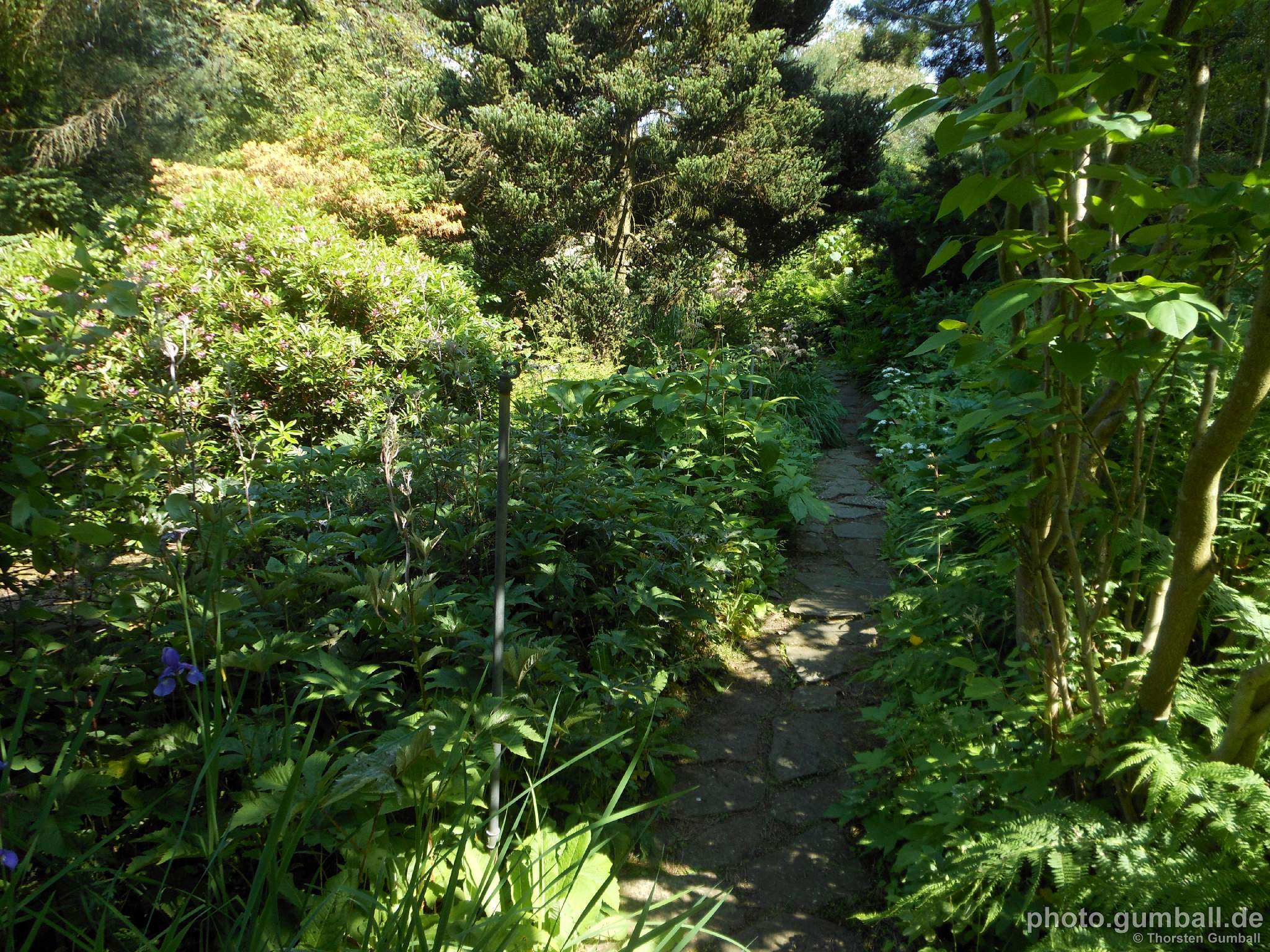 Botanischer Garten der Ruhr-Uni Bochum | Fotos 2016 (1)