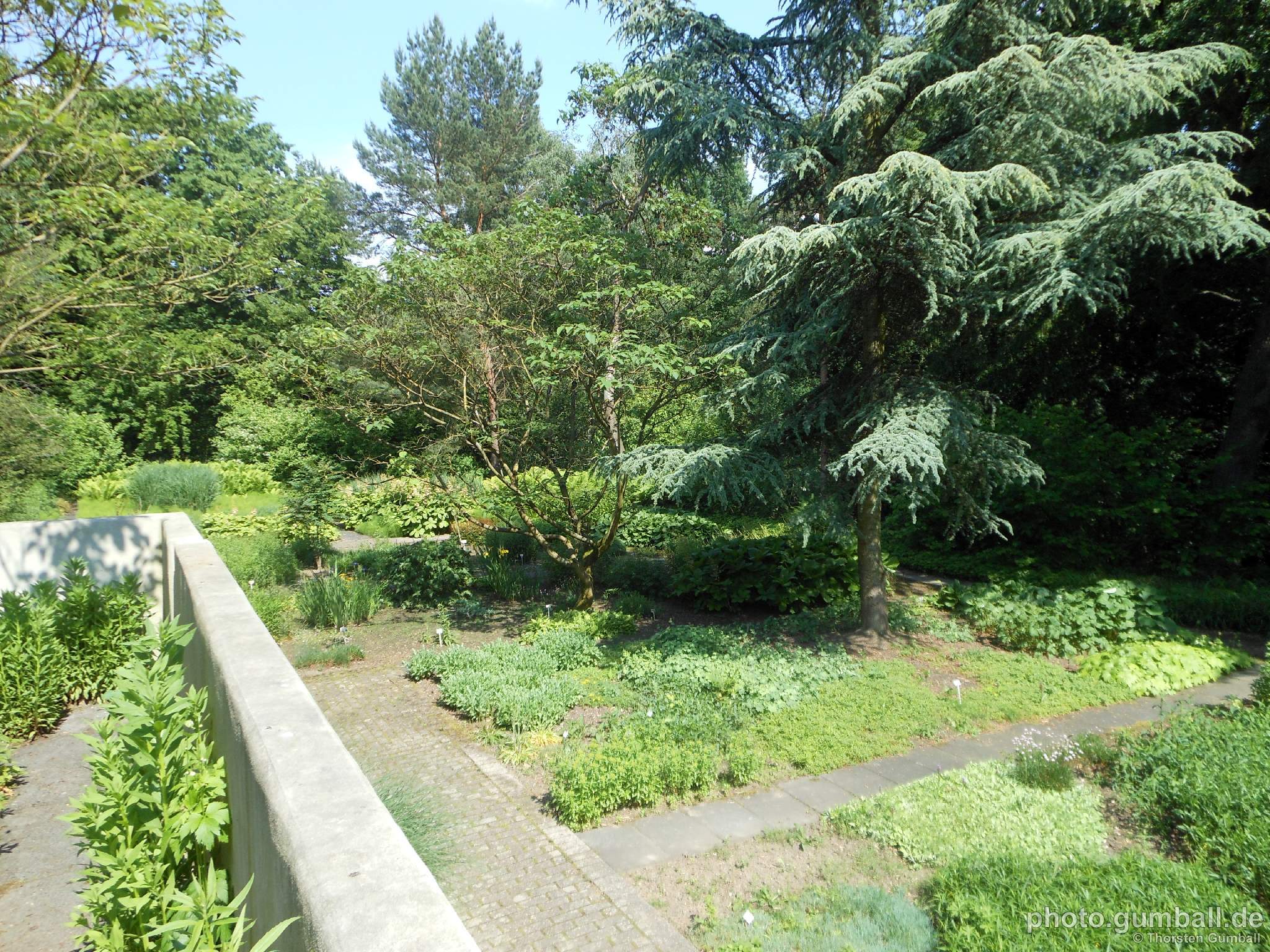 Botanischer Garten der Ruhr-Uni Bochum | Fotos 2016 (1)