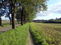 Bild "start:152.jpg"