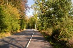 Bild "start:199.jpg"