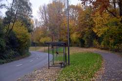 Bild "start:206.jpg"
