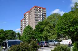 Bild "start:229.jpg"